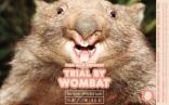 Thin Man Brewery - Trial by Wombat 0 (415)